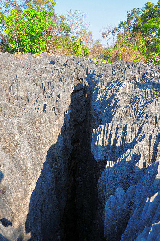 马达加斯加的Tsingy de Bemaraha